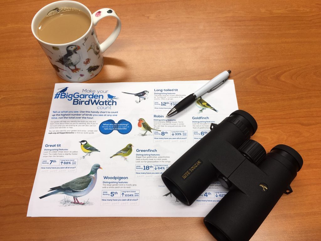 The RSPB Big Garden Birdwatch 2020