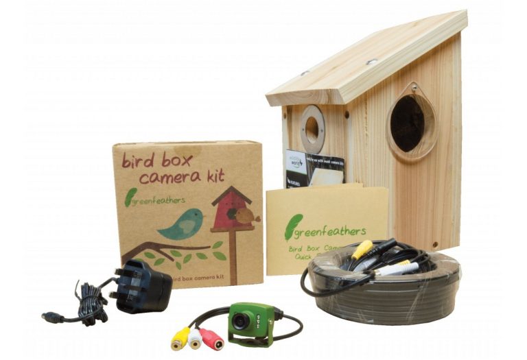 Nest Box Camera Kit Hoopoe A blog by nhbs