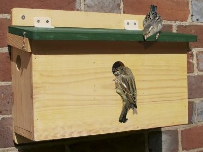 Hanging Blue and Yellow Wooden Bird Beach House Feeding Station Nesting Box 