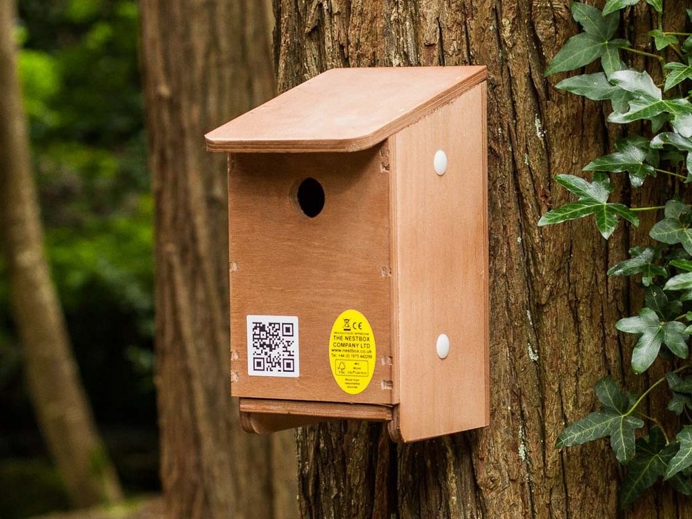How to put up a nest box