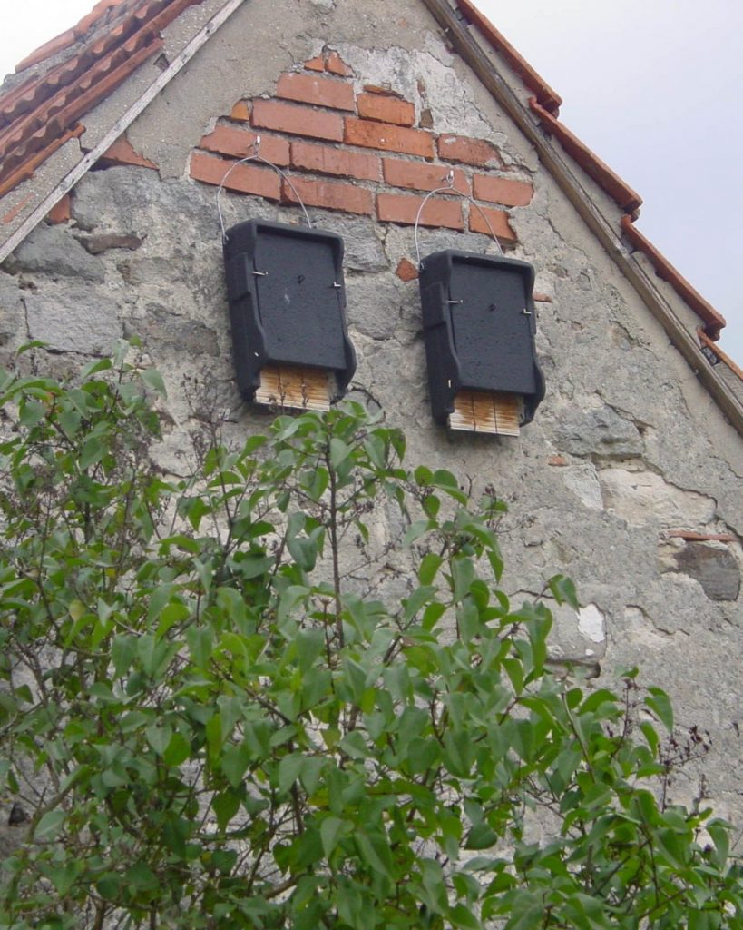 How To Hang A Bat Box