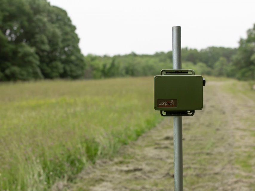 NHBS: In The Field – Song Meter Mini Bat Detector
