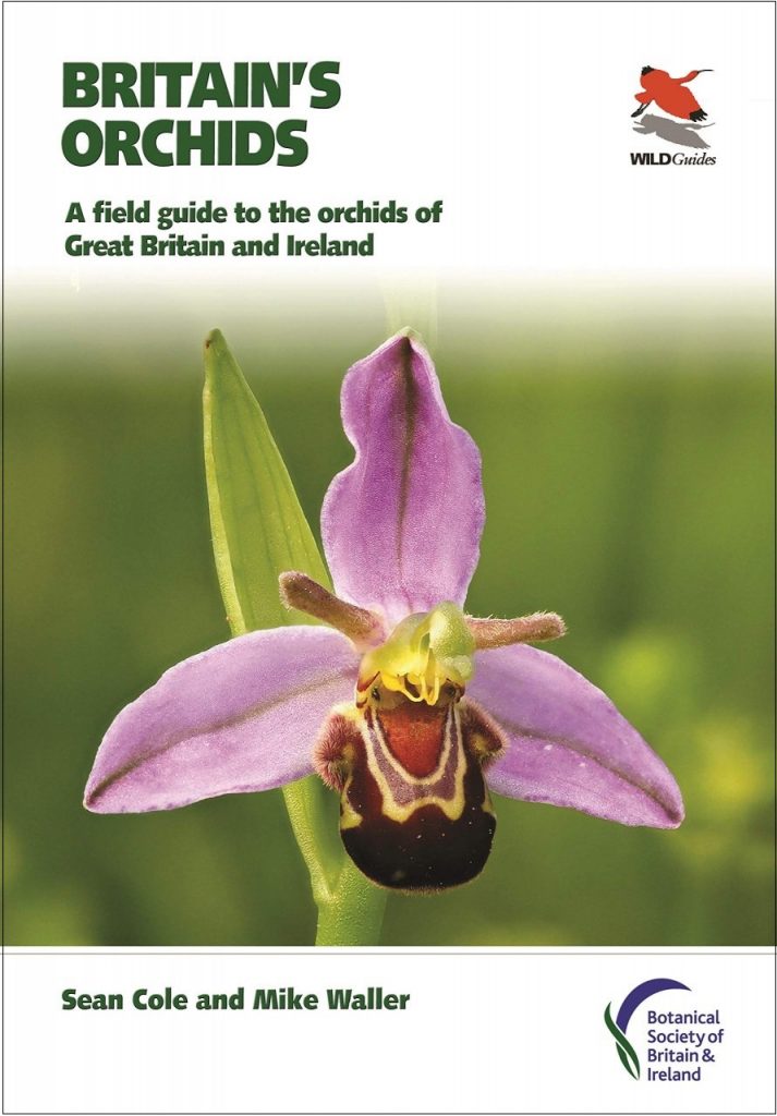 Britain's Orchids wildguide