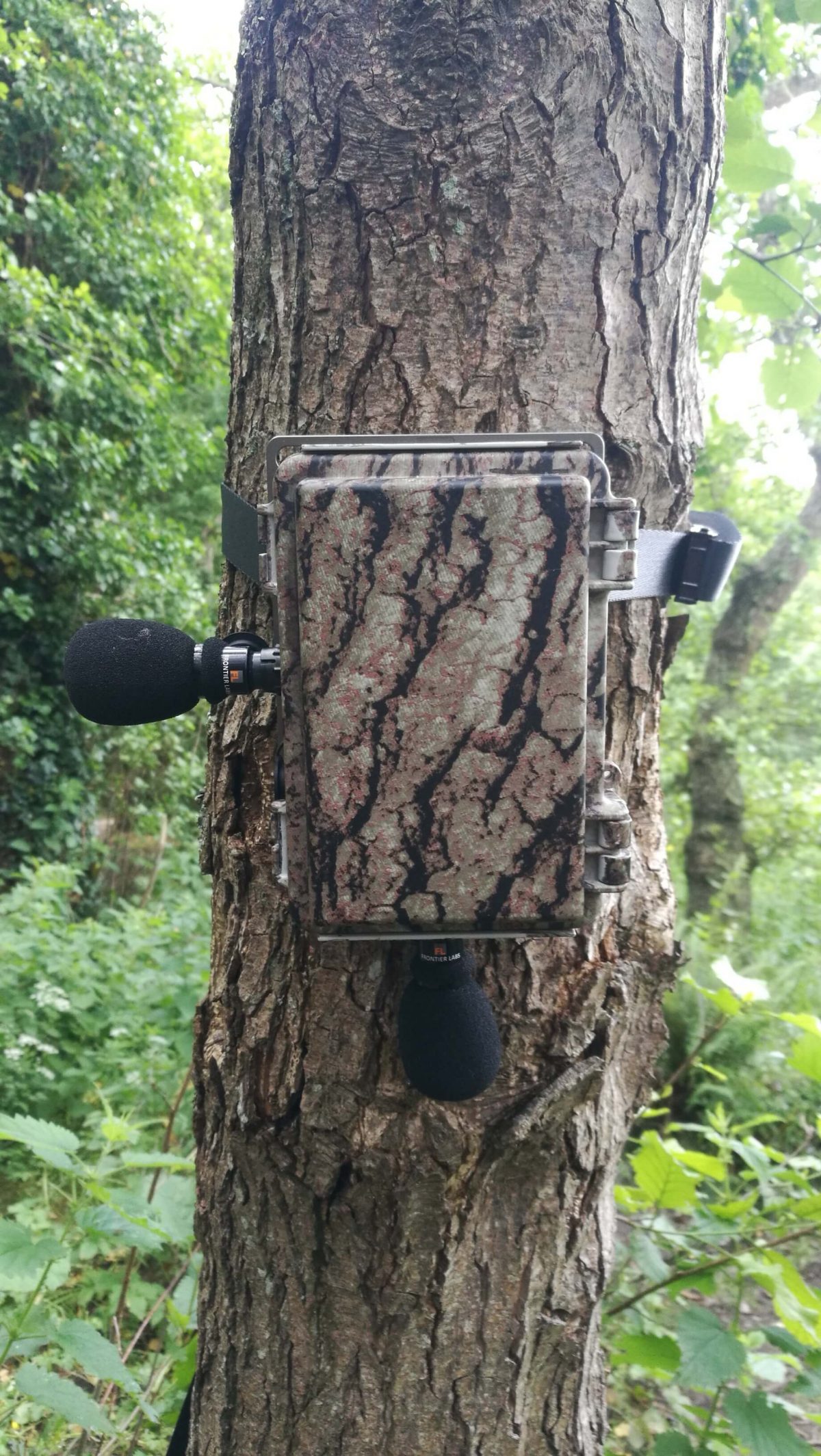 Bioacostic Recoder NHBS In the Field – BAR-LT Bioacoustic Recorder