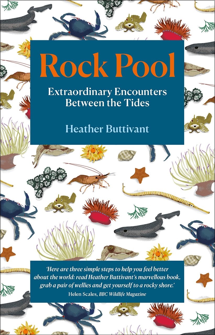 The NHBS Guide to Rockpooling