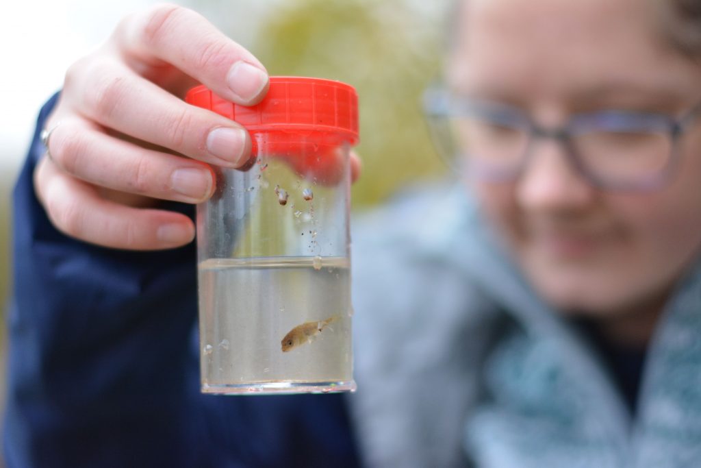 The NHBS Guide to Pond Dipping