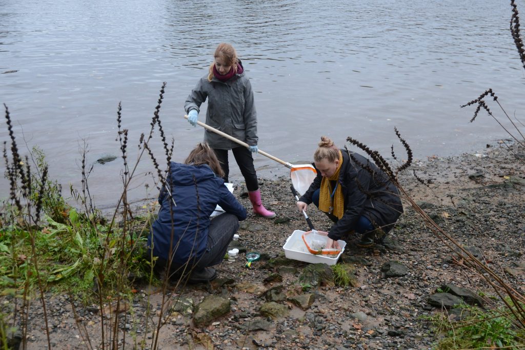 People Catching fish Using The fishing Net In Mud water pond 