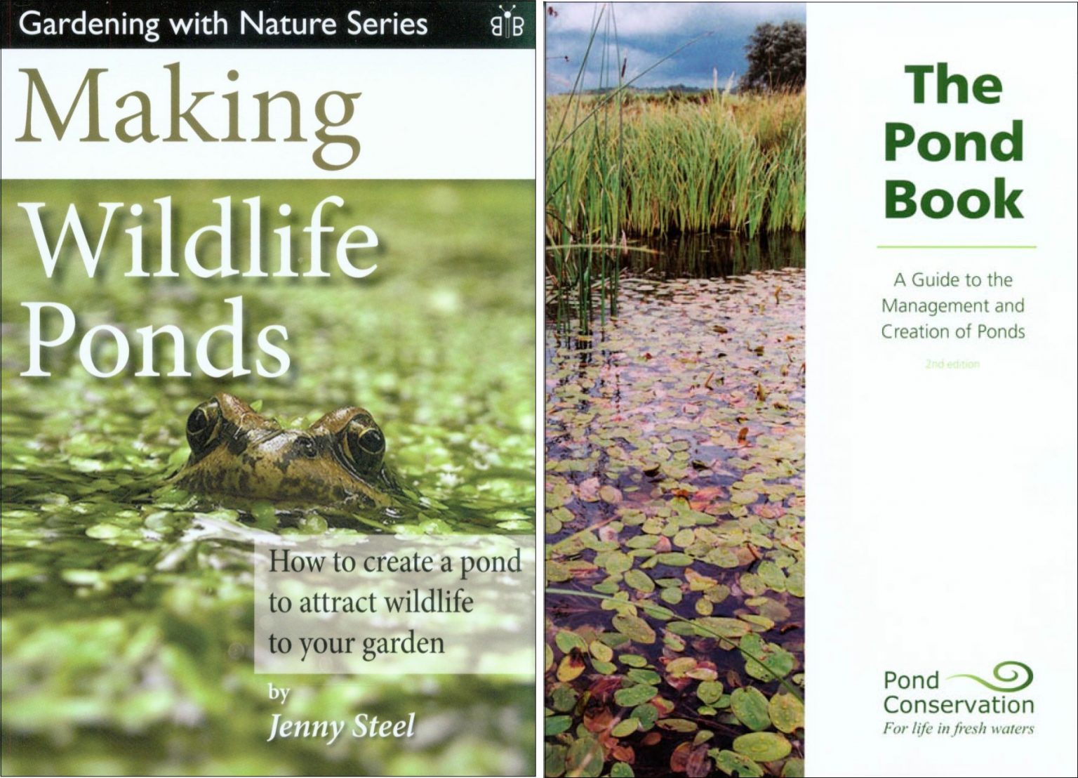 The NHBS Guide to Pond Dipping