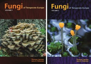 types of fungi species