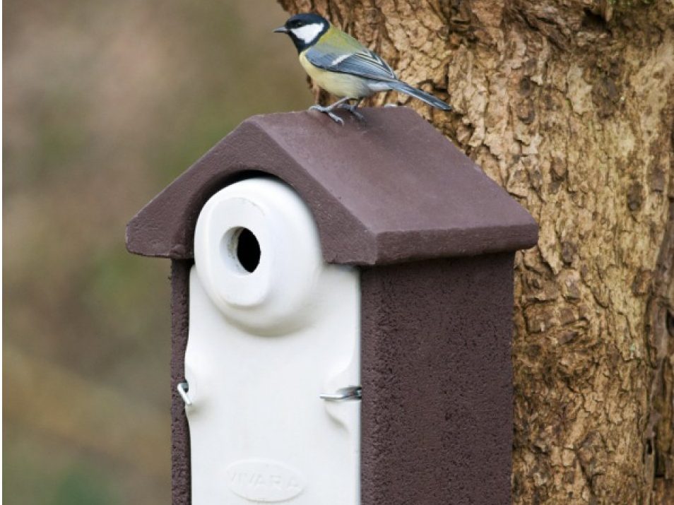 How to Clean a Nest Box