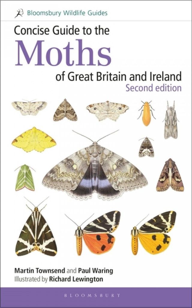 How to Catch a Moth - The Guide to Moth Trapping