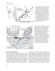 Spider Webs internal 3