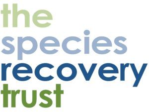 Species Recovery Trust: Q&A with Dominic Price