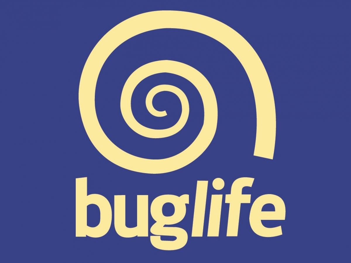 Buglife Q&A with Paul Hetherington