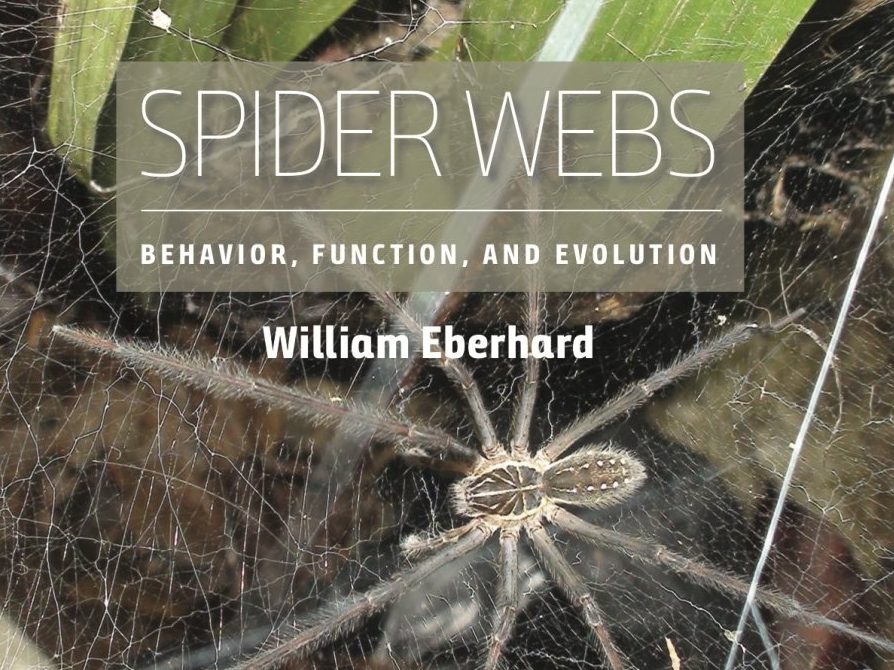 Author interview with William Eberhard: Spider Webs