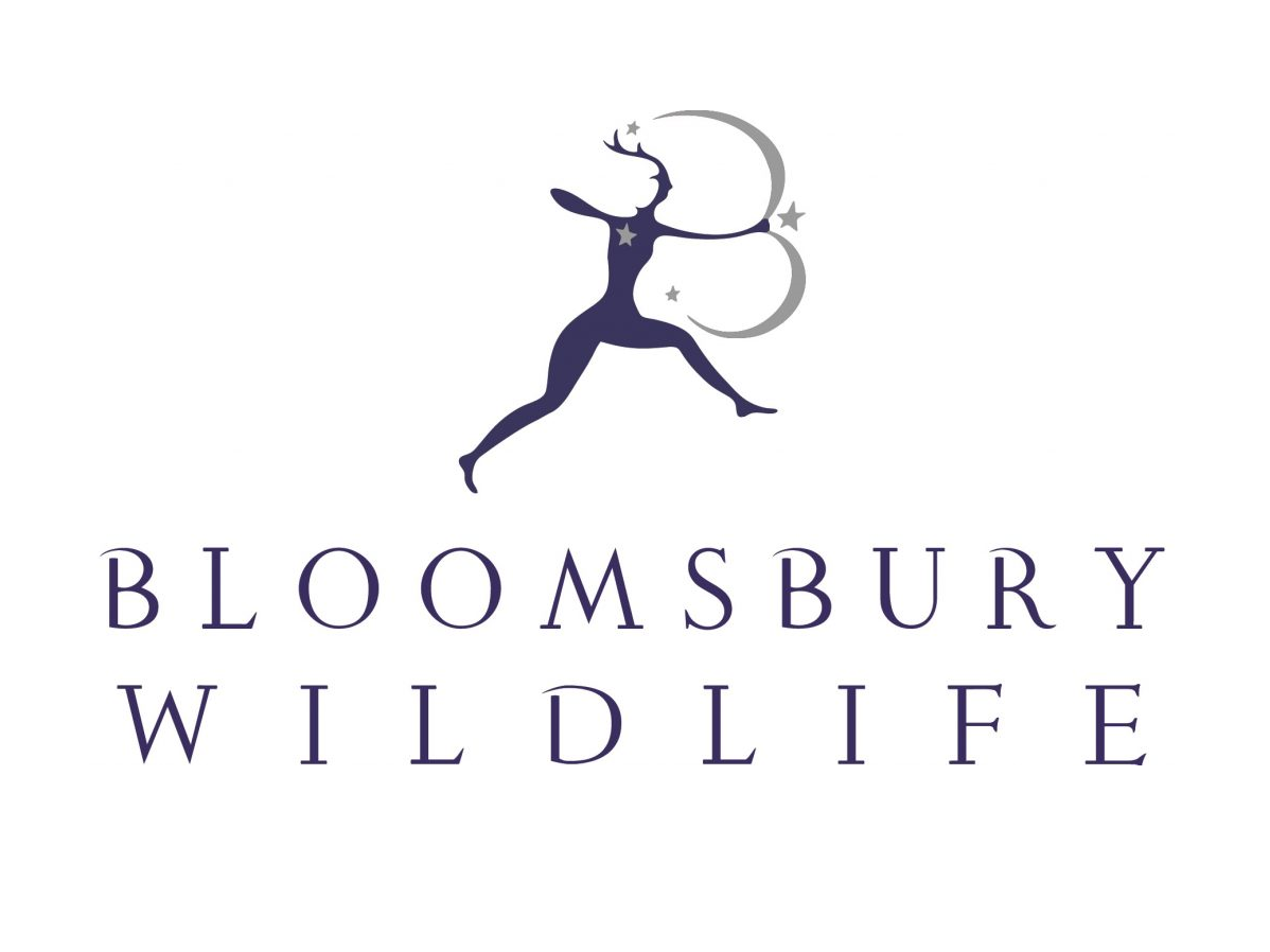 Bloomsbury Wildlife: Publisher of the Month for March 2021