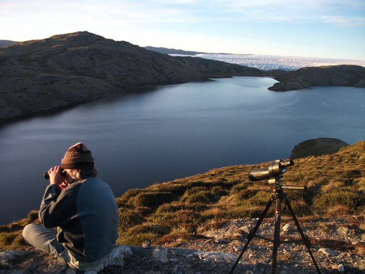 Author Interview with David Stroud: International Treaties in Nature Conservation: A UK Perspective