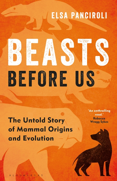 Author interview with Elsa Panciroli: Beasts Before Us