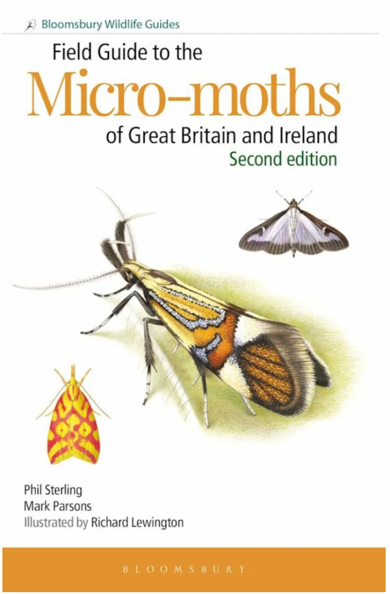 The NHBS Guide to Common UK Moth Identification – Hoopoe – A blog by nhbs