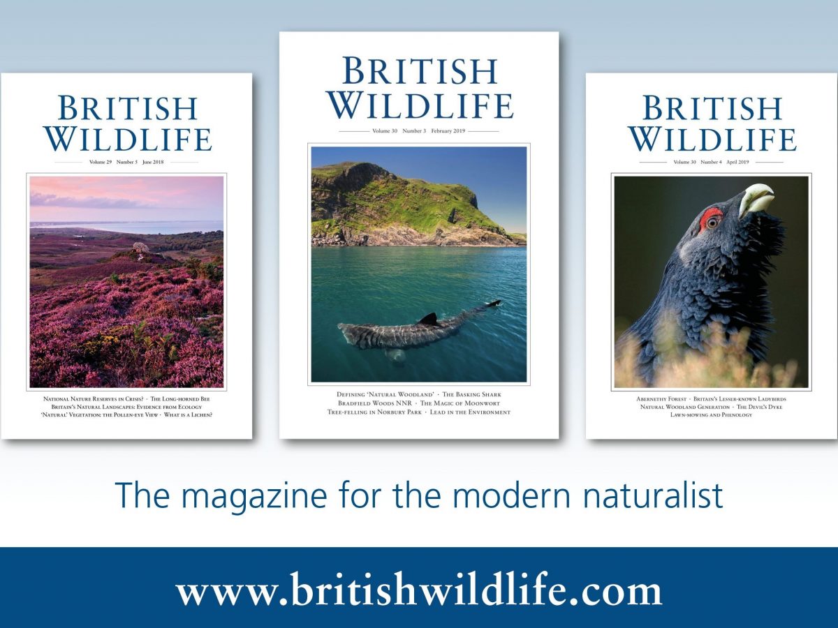 British Wildlife book reviews