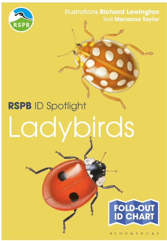 The NHBS Guide To UK Ladybird Beetle Identification The NHBS Guide To UK Ladybird Beetle Identification