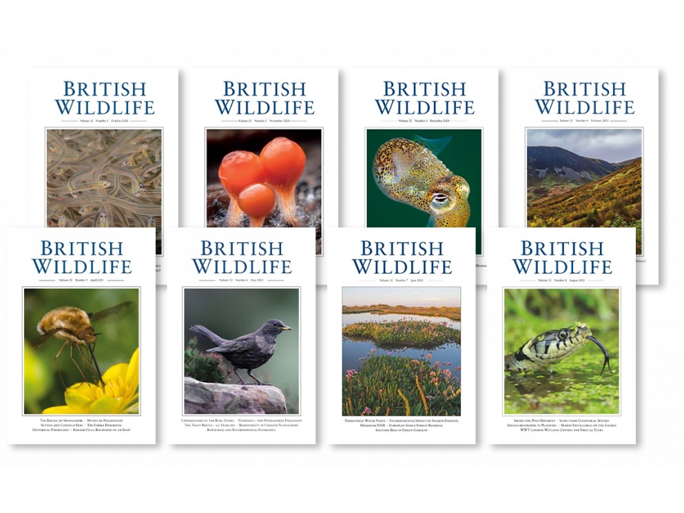 British Wildlife: highlights from the past year