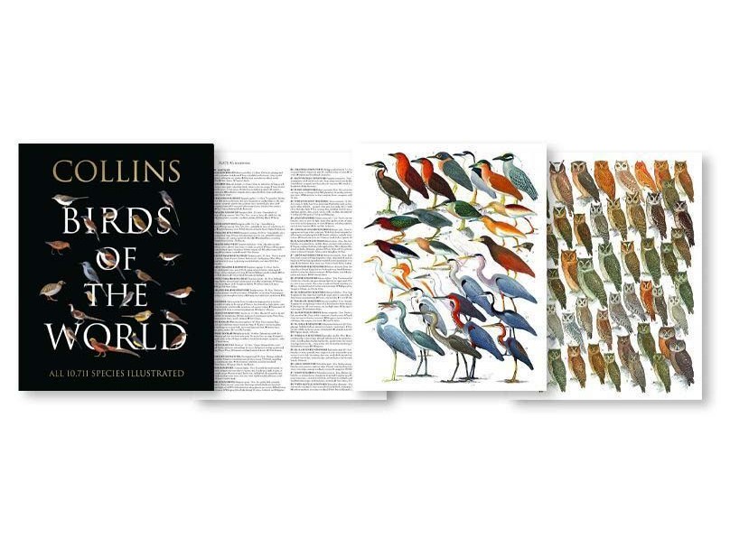 Author Interview: Collins Birds of the World