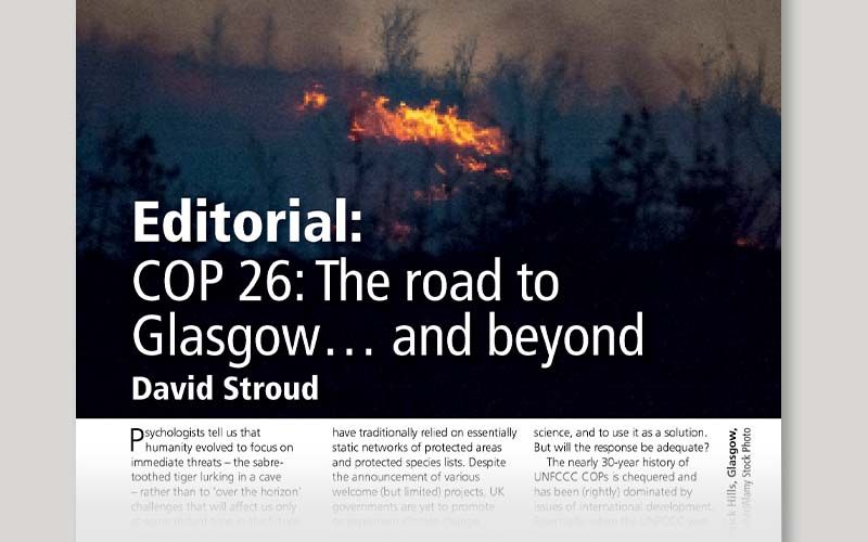 COP 26: The road to Glasgow… and beyond
