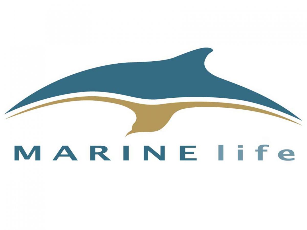 MARINElife: Q&A with Rick Morris and Tom Brereton