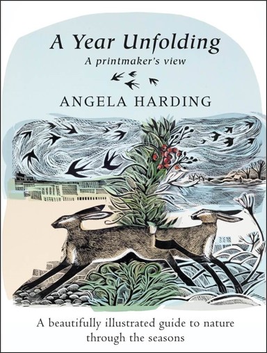 Author Interview with Angela Harding: A Year Unfolding