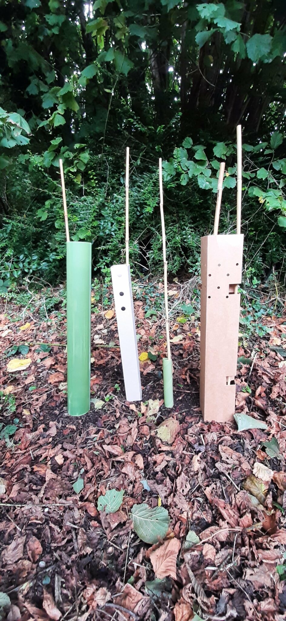 Cardboard tree guards a suitable and sustainable alternative to plastic?