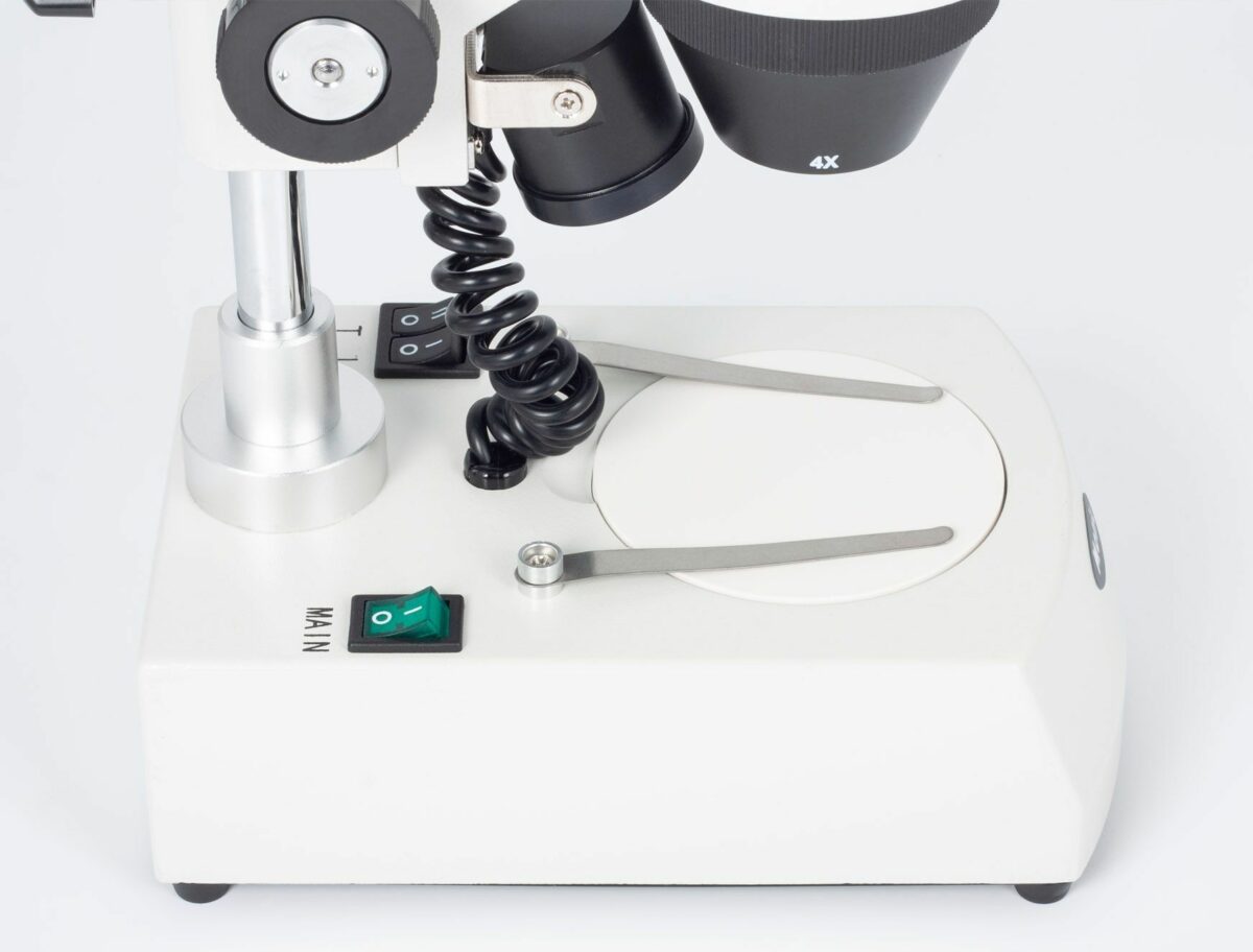 The Naturalist’s Microscope Guide Part 1: Stereo Microscopes