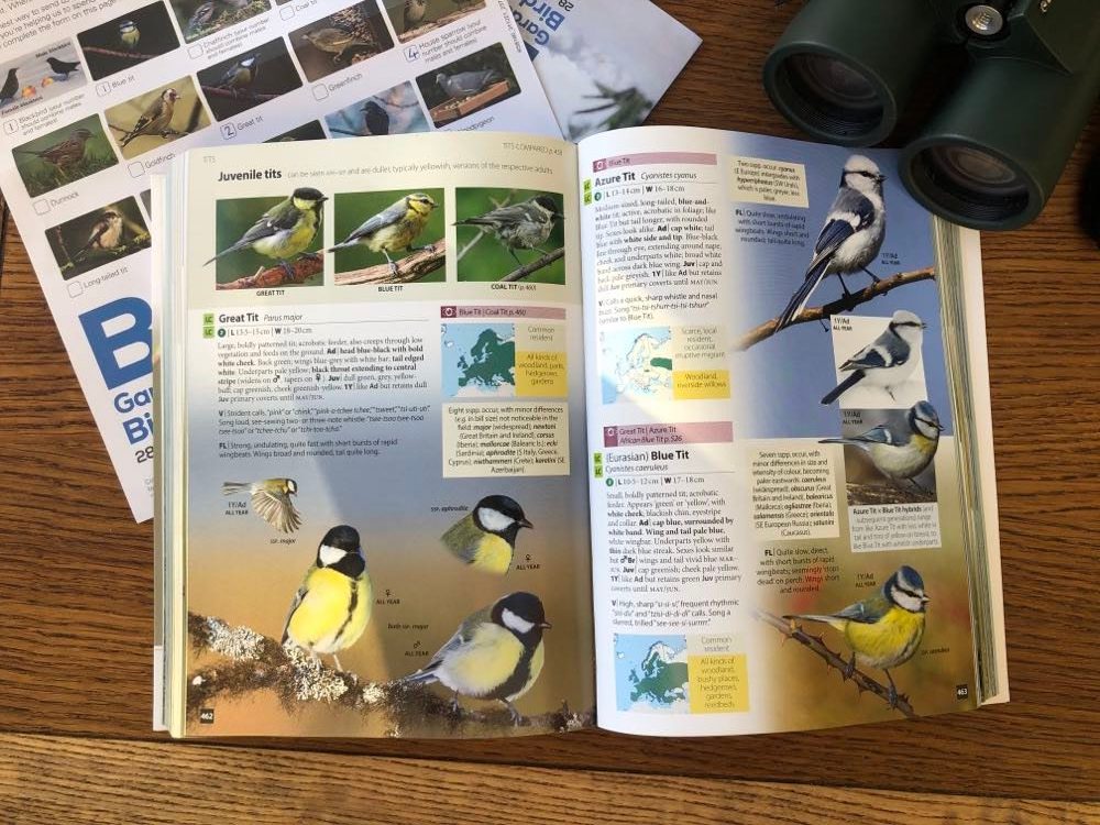 The Big Garden Birdwatch: NHBS Staff Results