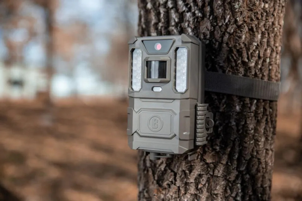 Trail Camera Tips and Troubleshooting: Part 1