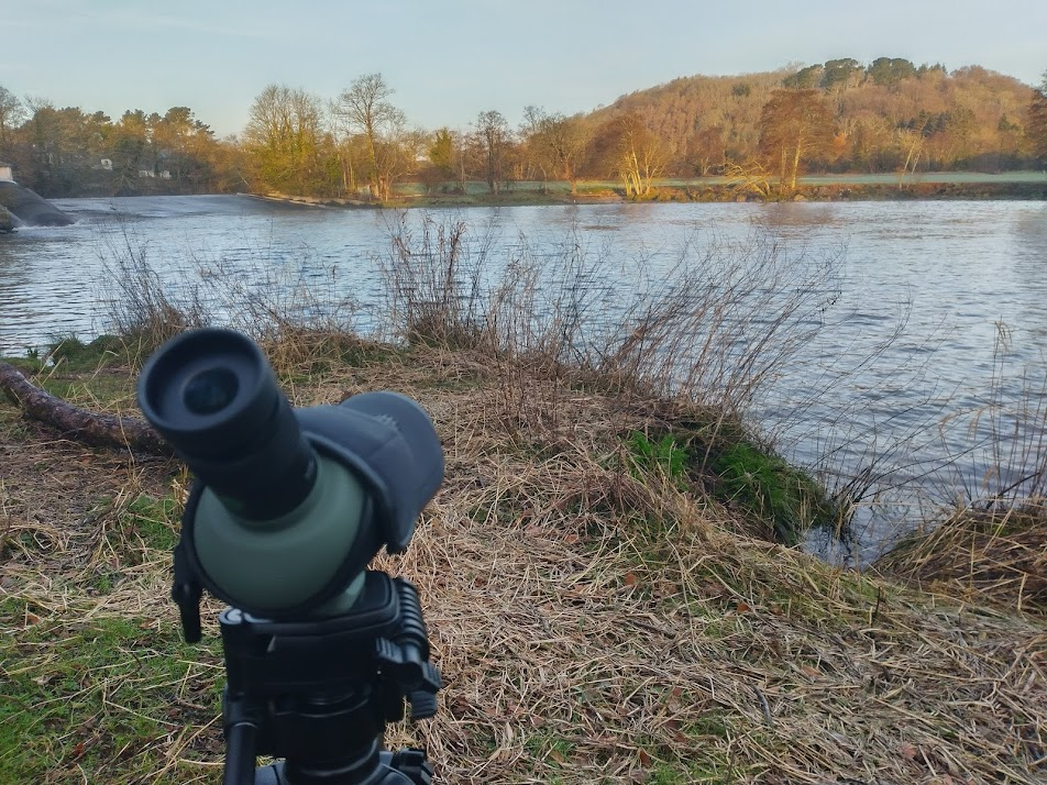 In The Field: Kowa TSN-501 Spotting Scope