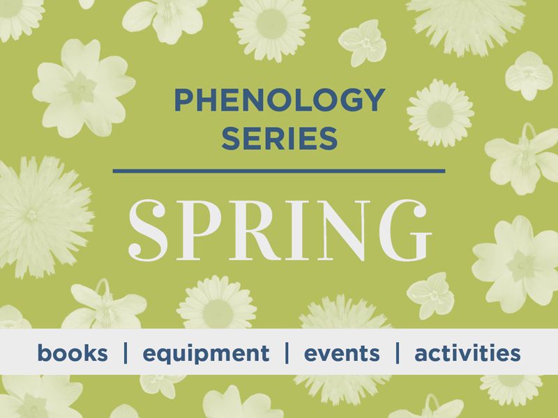 Phenology Series: Spring