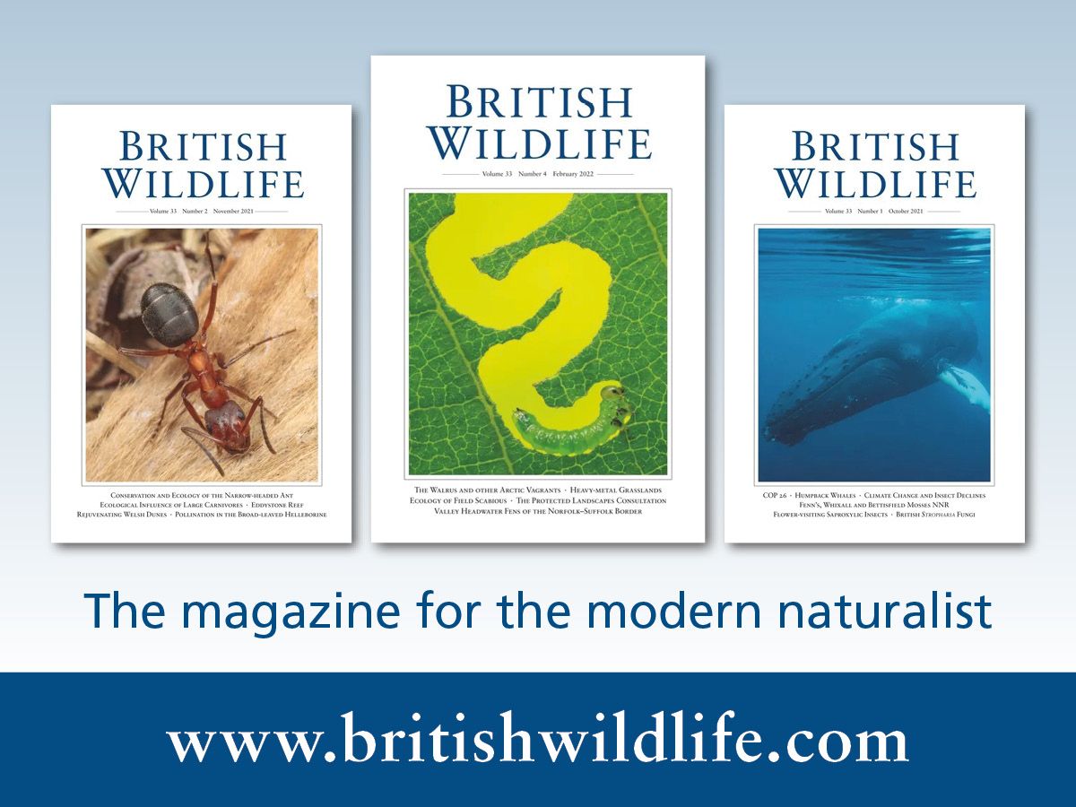 Book reviews recently featured in British Wildlife