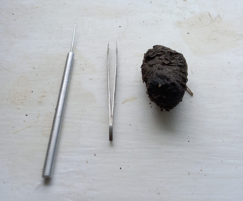 Owl Pellet Replica: Vole Skeleton (Perfect Pellet®)