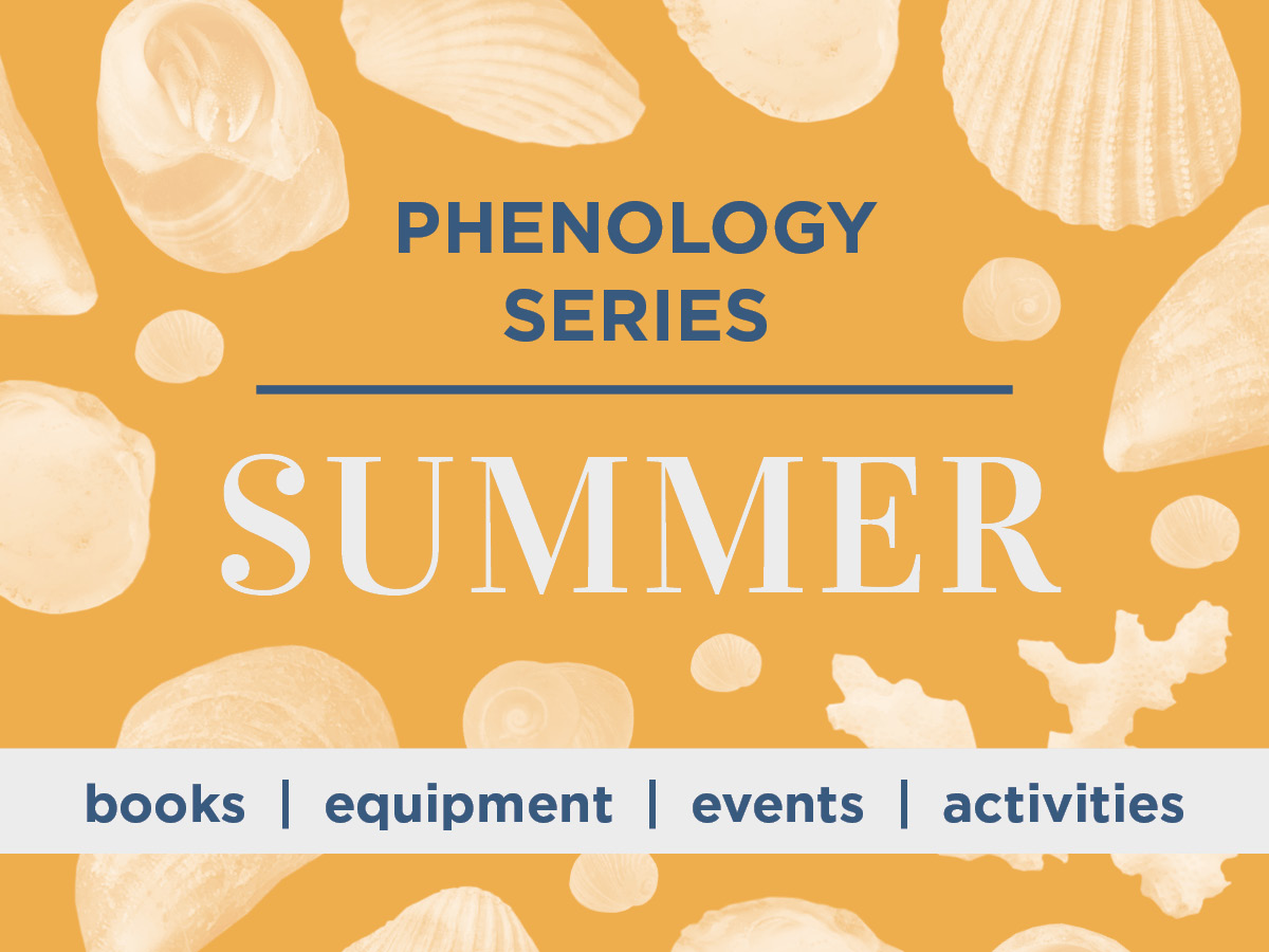 Phenology Series: Summer