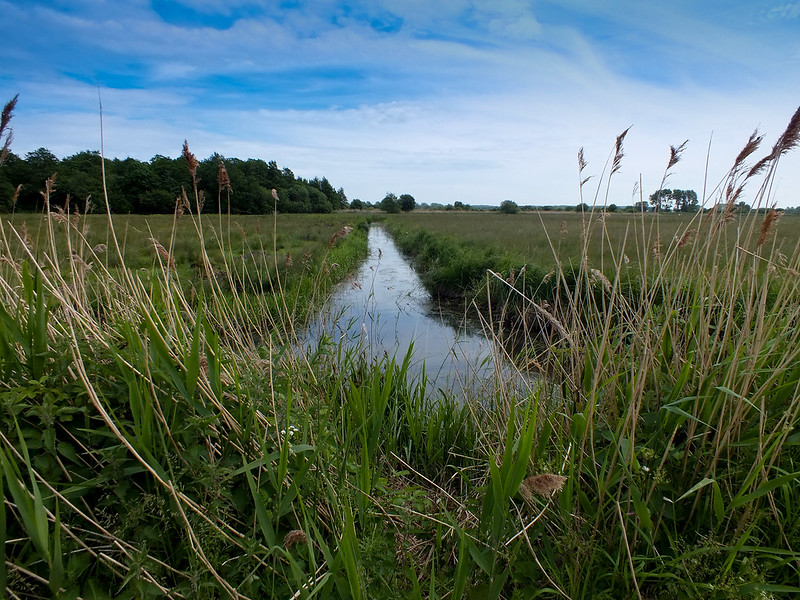 Fen, Bog and Swamp, Book by Annie Proulx, Official Publisher Page