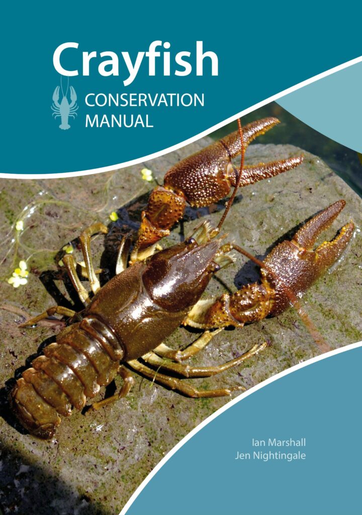 Trappy Funnel Crayfish Trap  NHBS Wildlife Survey & Monitoring