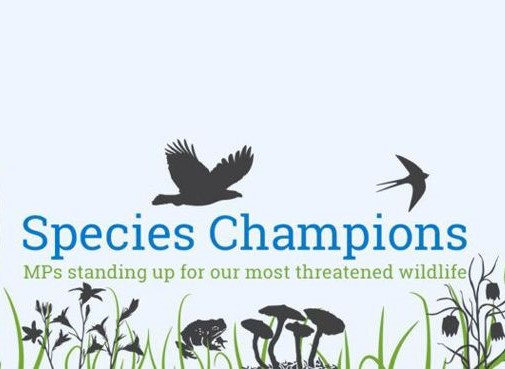 The Species Champions Project