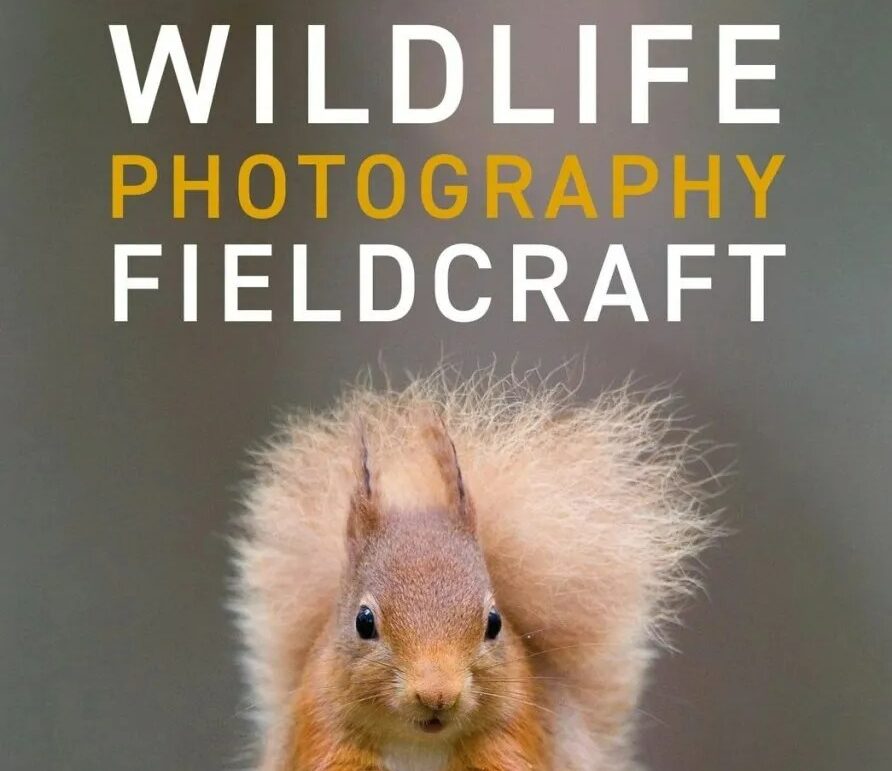 Author Interview with Susan Young: Wildlife Photography Fieldcraft