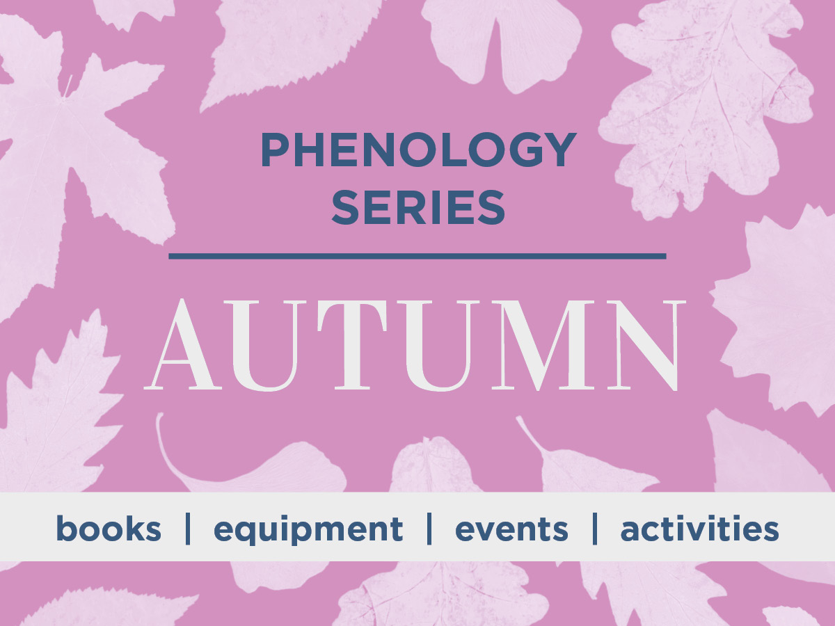 Phenology Series: Autumn