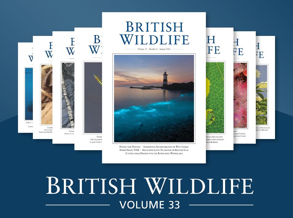 Volume 33 of British Wildlife
