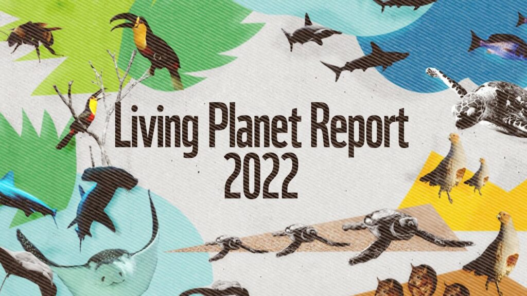 Living Report 2022