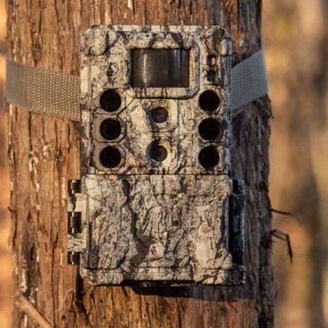 Trail Cameras: A Comparison