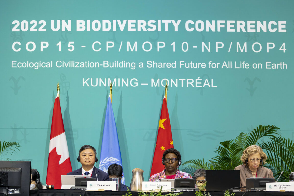 What are the results of COP15 and do they really mean anything?