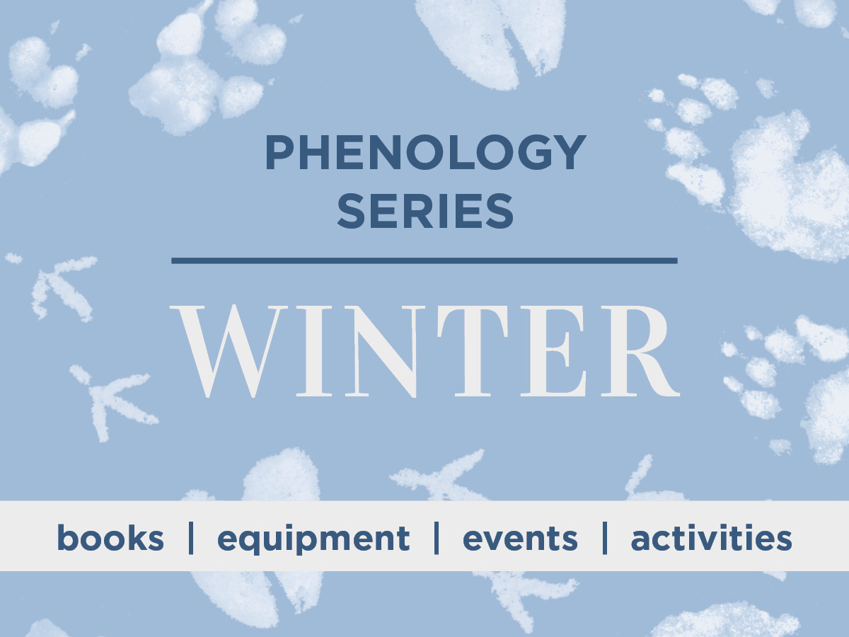 Phenology Series: Winter