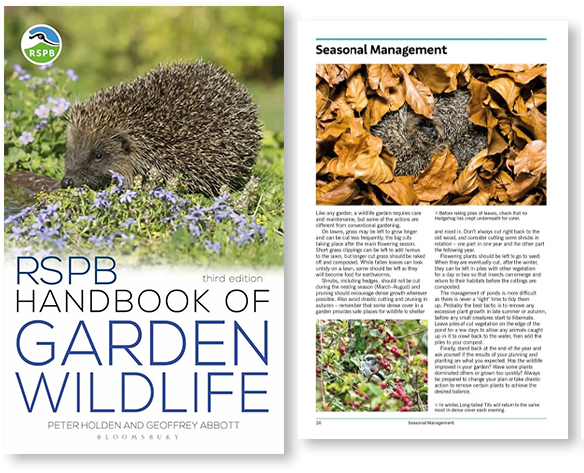 Author Interview with Peter Holden and Geoffrey Abbott: RSPB Handbook of Garden Wildlife